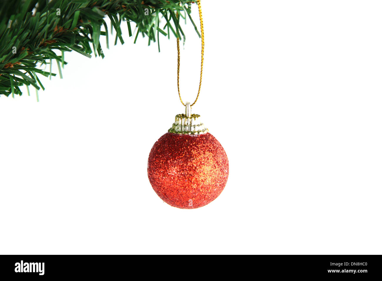 The Picture Red ball hanging on branch of Christmas tree Stock Photo ...