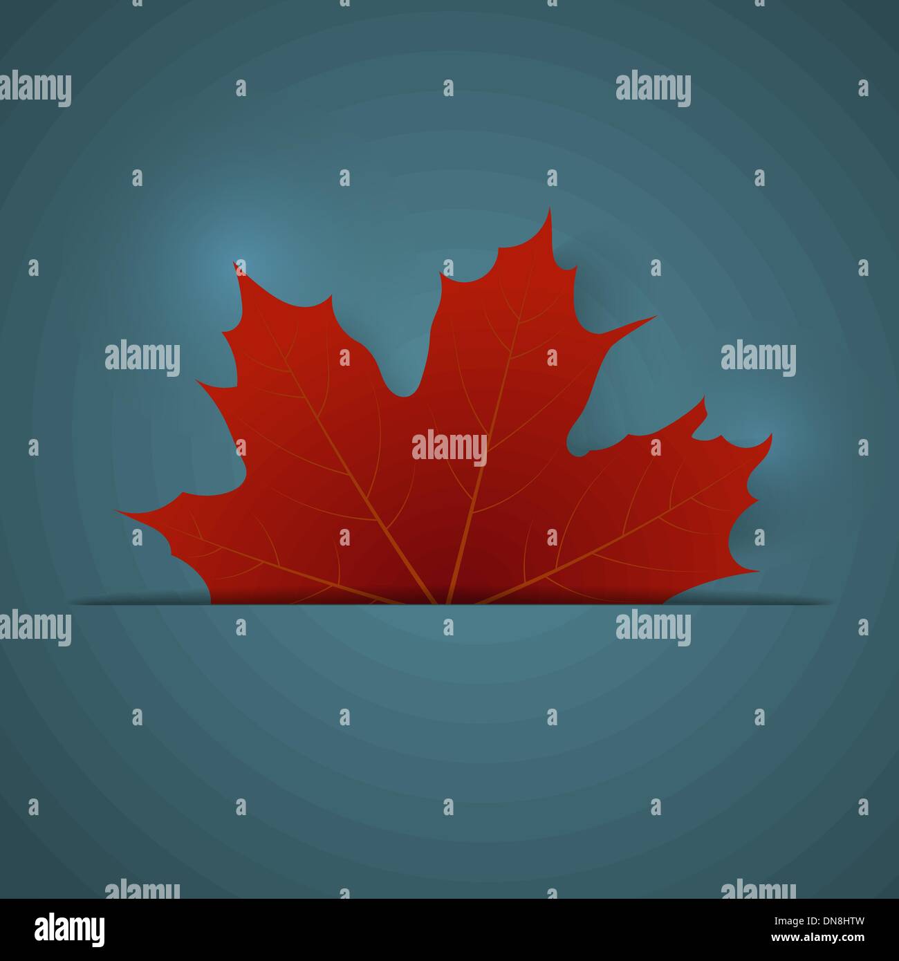 Red maple leaf on a blue background Stock Vector