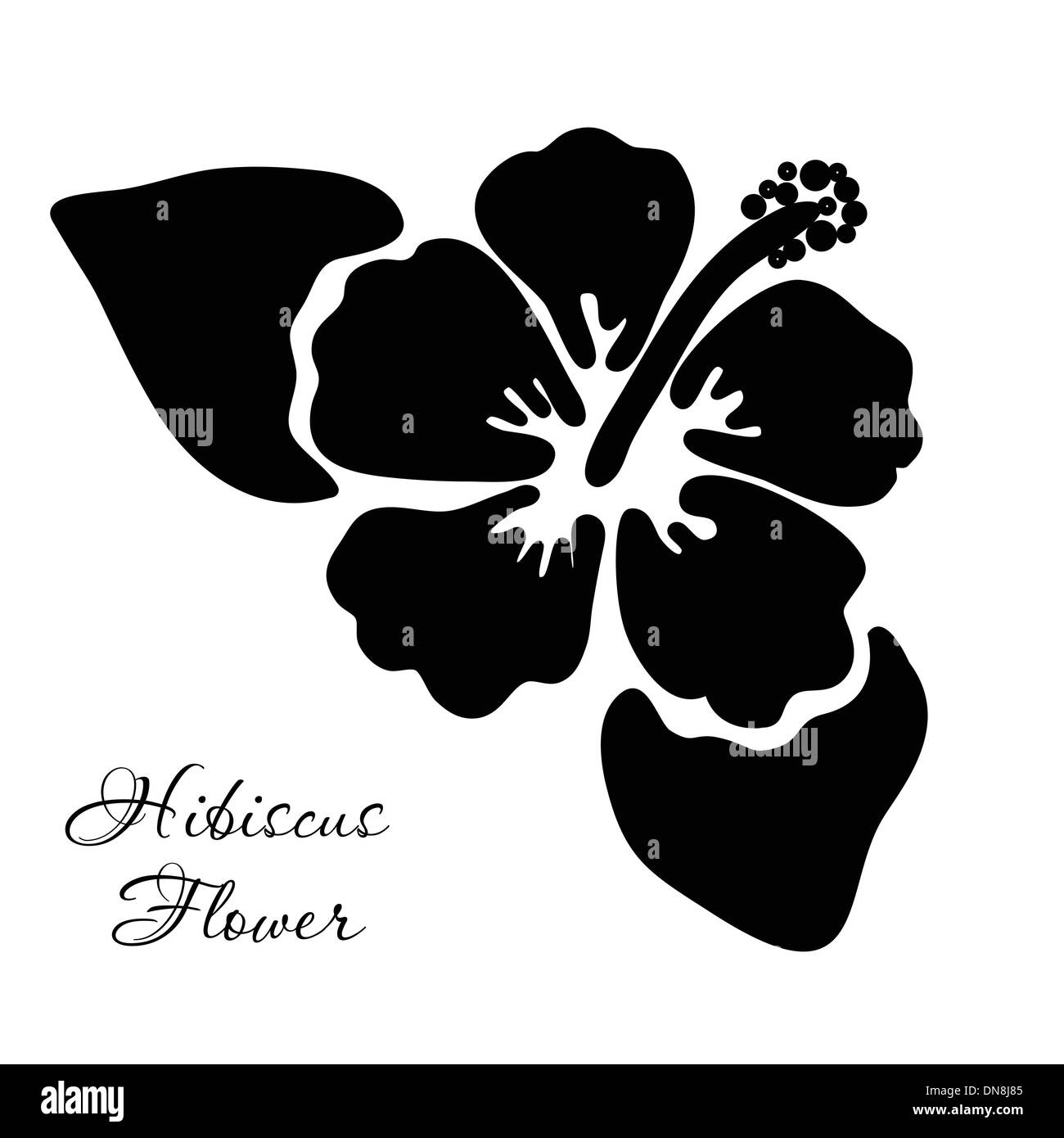 Vector illustration of hibiscus flower Stock Vector