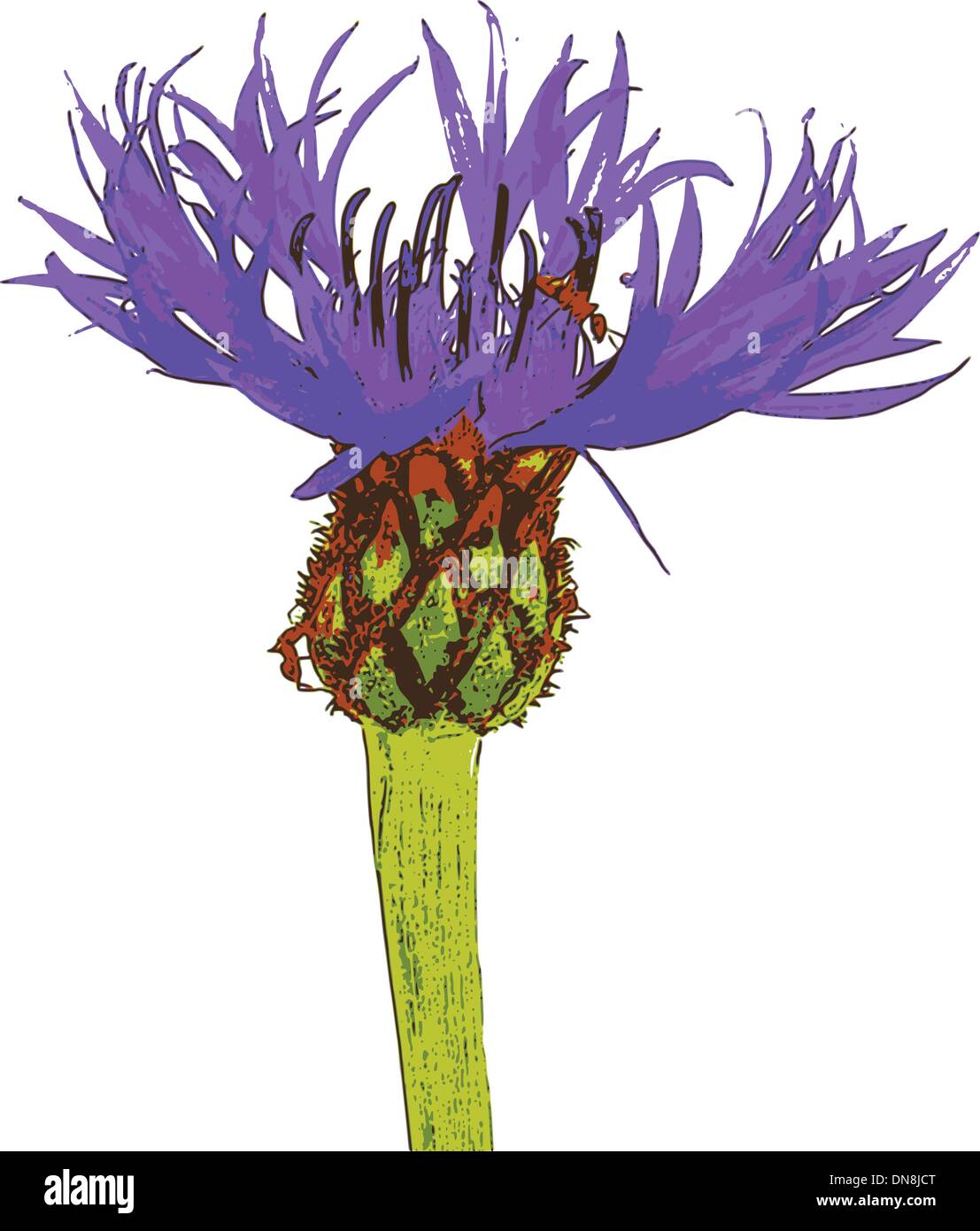 Arty flower Stock Vector Images - Alamy