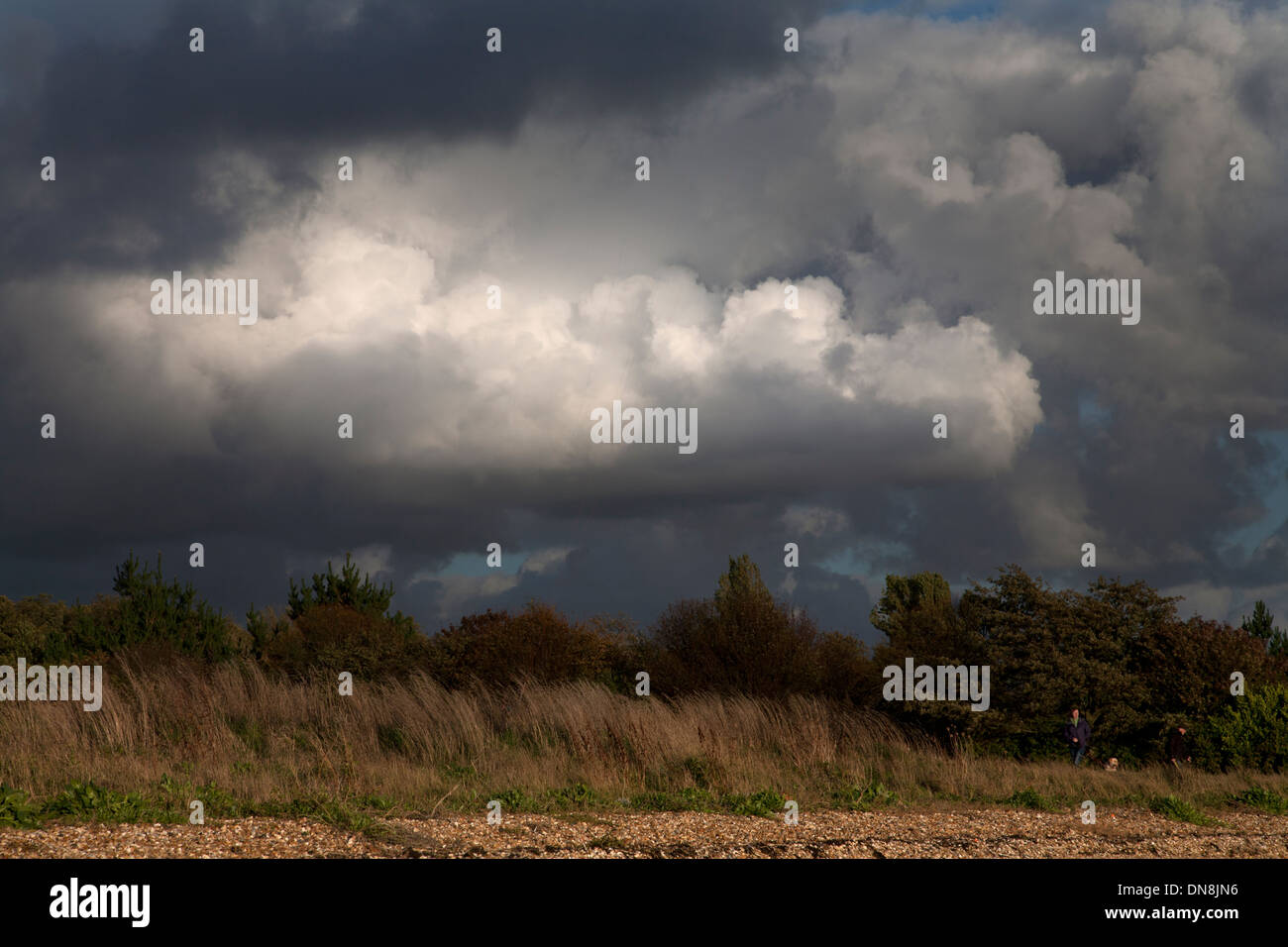 weston shore southampton water hampshire england Stock Photo