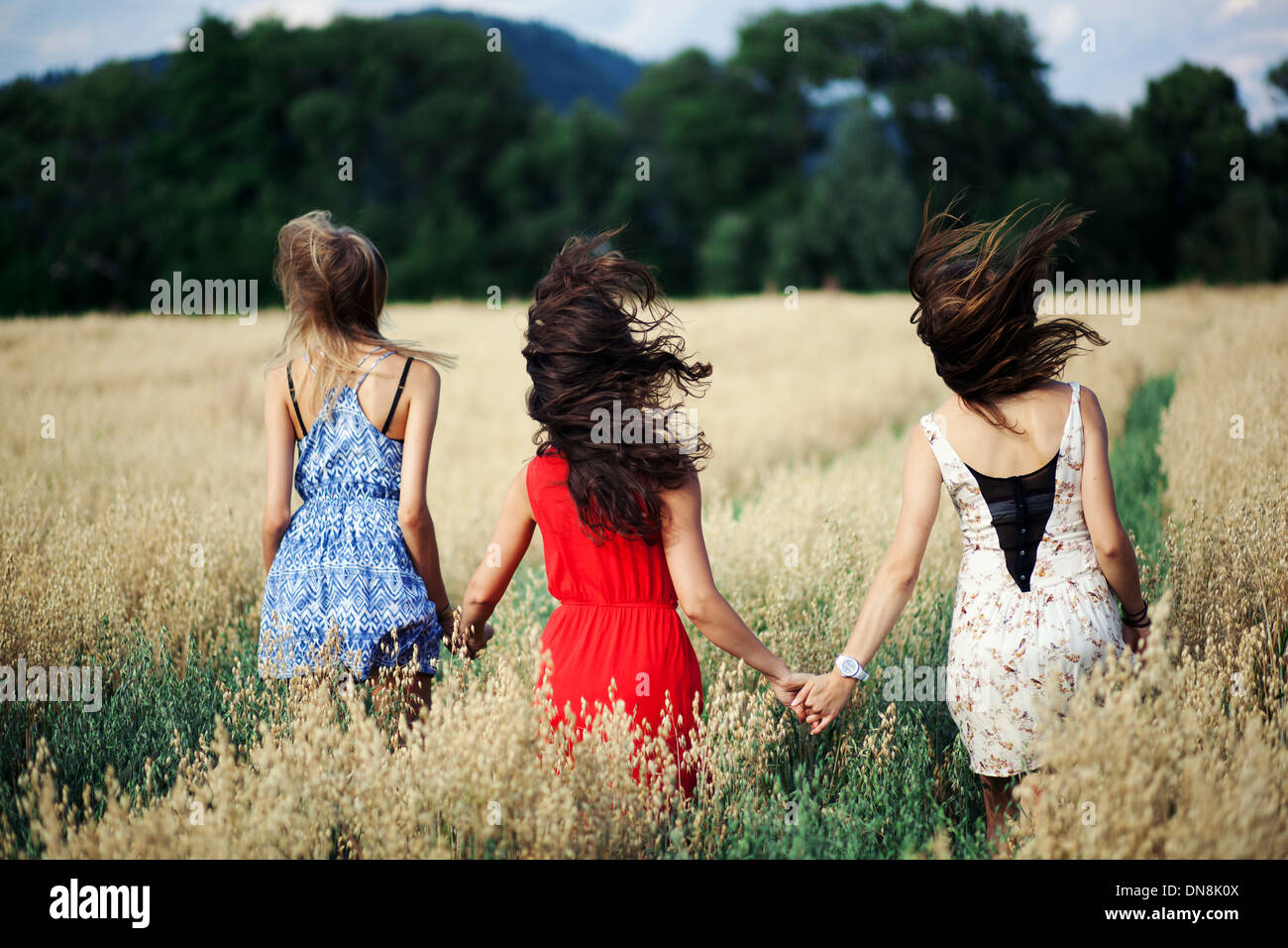 Three women walk hand in hand through a cornfield Stock Photo