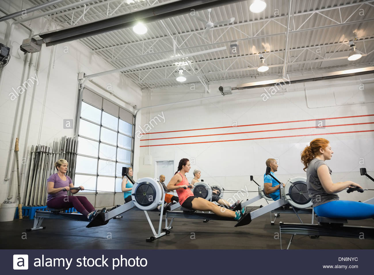 People using rowing machines in Crossfit gym Stock Photo Alamy