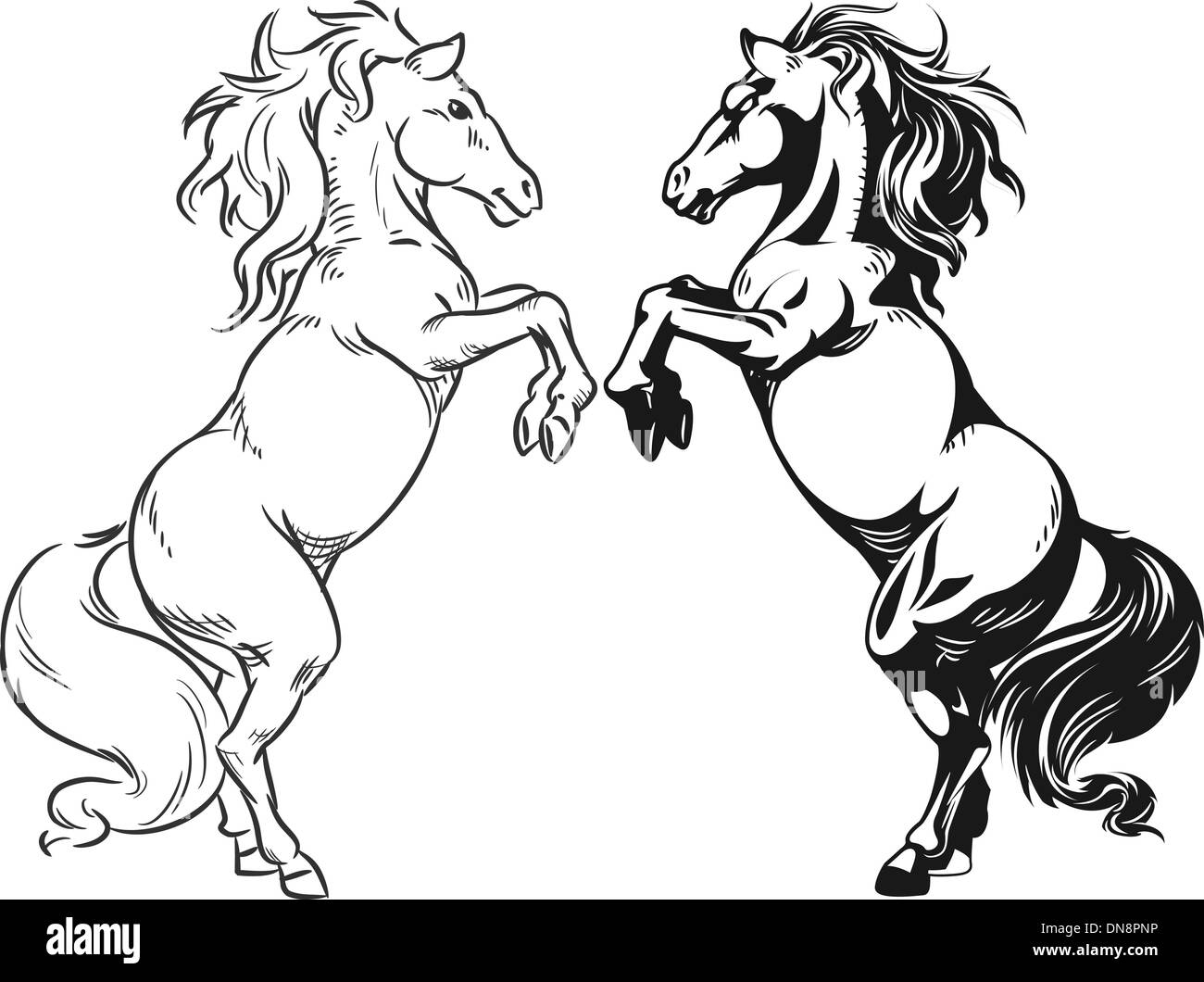Sketch of Prancing Stallion or Horse Stock Vector