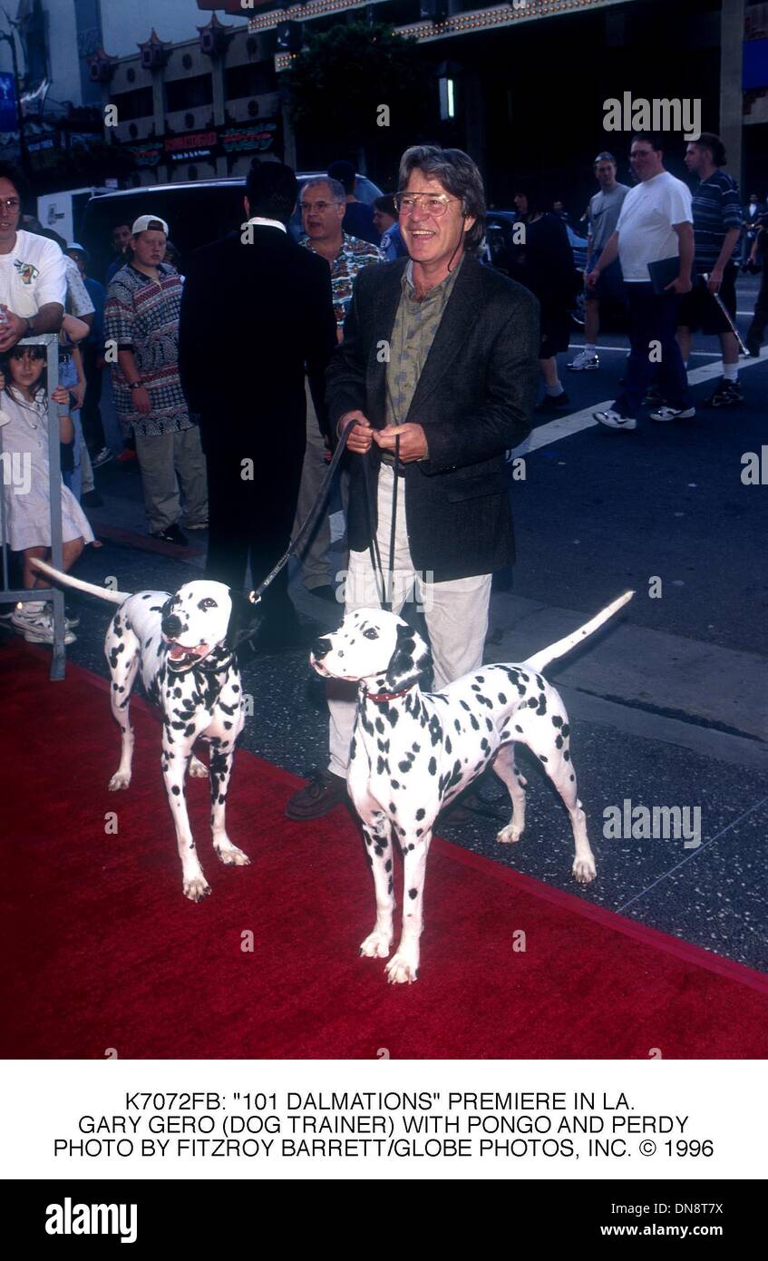 101 Dalmations High Resolution Stock Photography and Images - Alamy
