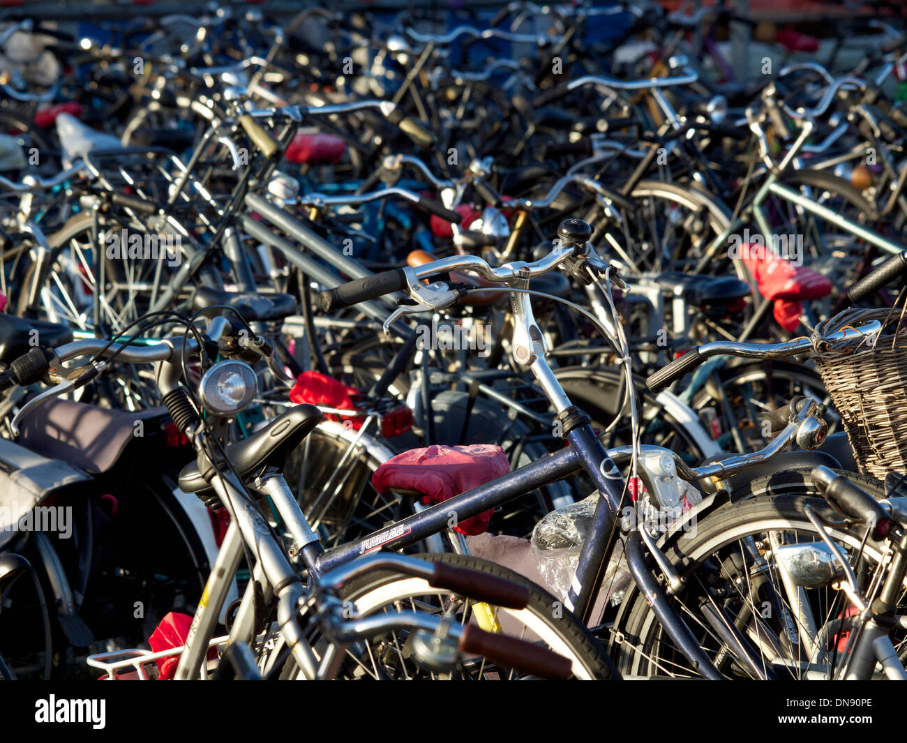 Bicycle parking at Breda train station, the Netherlands Stock Photo