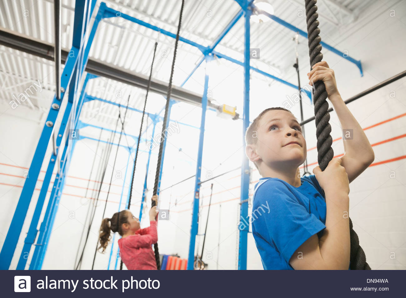 Boy climbing rope in gym Stock Photo Alamy