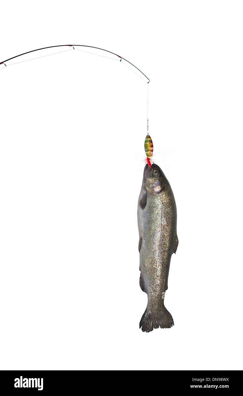 https://c8.alamy.com/comp/DN98WX/the-rainbow-trout-on-fishing-rod-on-background-of-water-DN98WX.jpg
