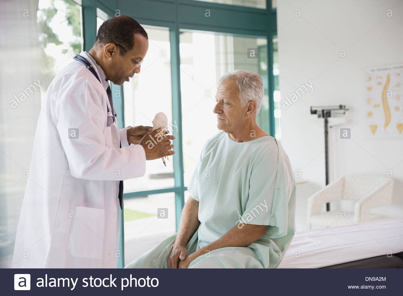 Doctor explaining anatomical model to patient in hospital Stock Photo