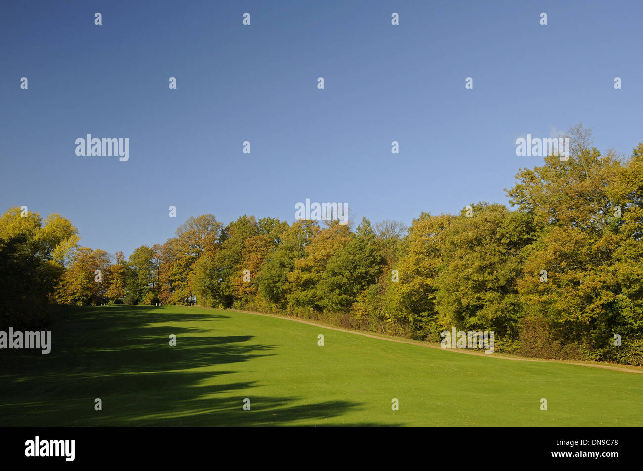 Sundridge Park Golf Club - View up from Fairway on 8th Hole on the West Course to the Green with colourful Autumn Trees Bromley Stock Photo