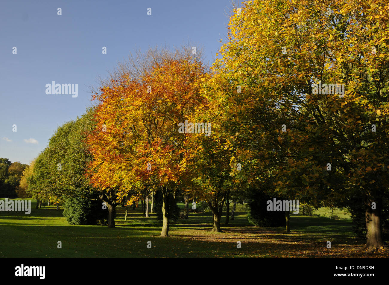 Sundridge Park Golf Club View down Fairway of 12th Hole on the East