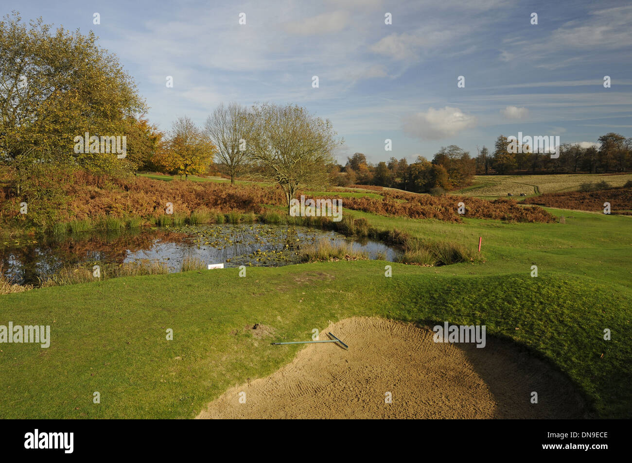Knole Park Golf Club - View over small pond to 8th Green with Autumn Colours and Trees Stock Photo