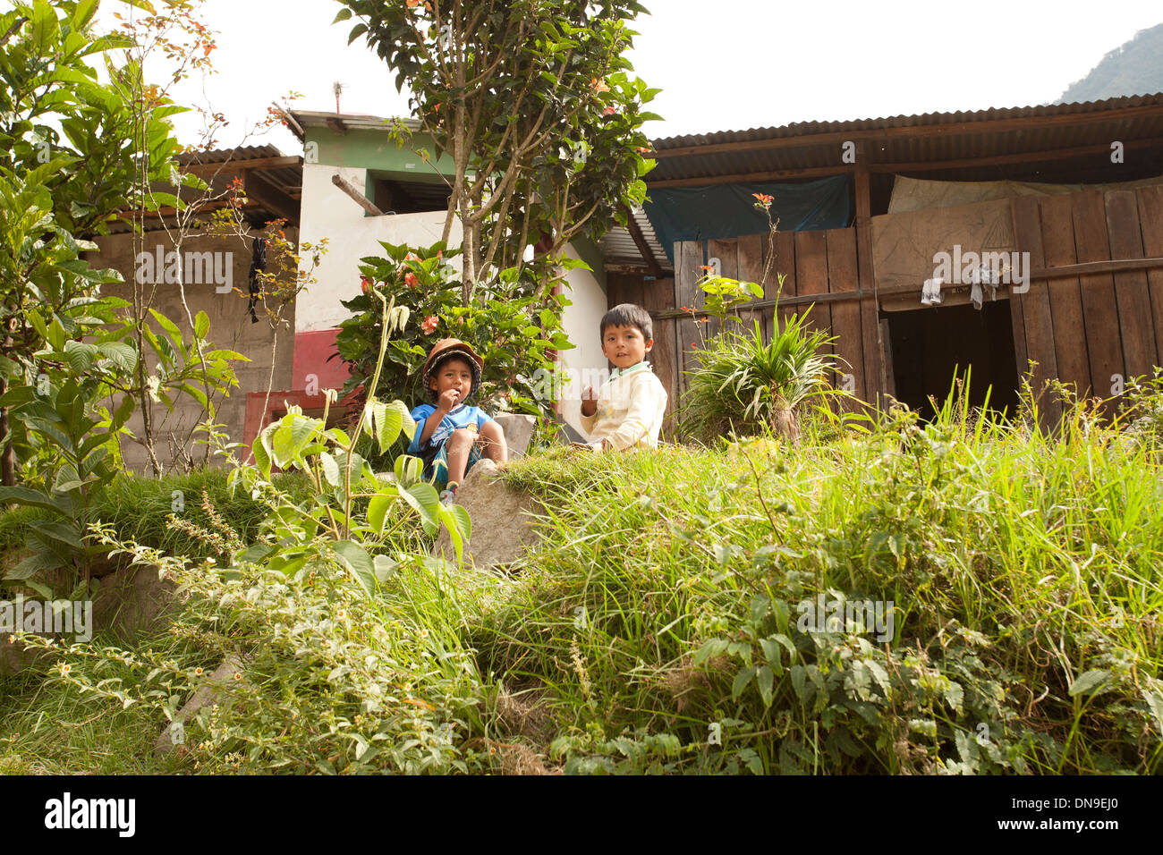 Two Peruvian boys sitting in the grass outside their house Stock Photo