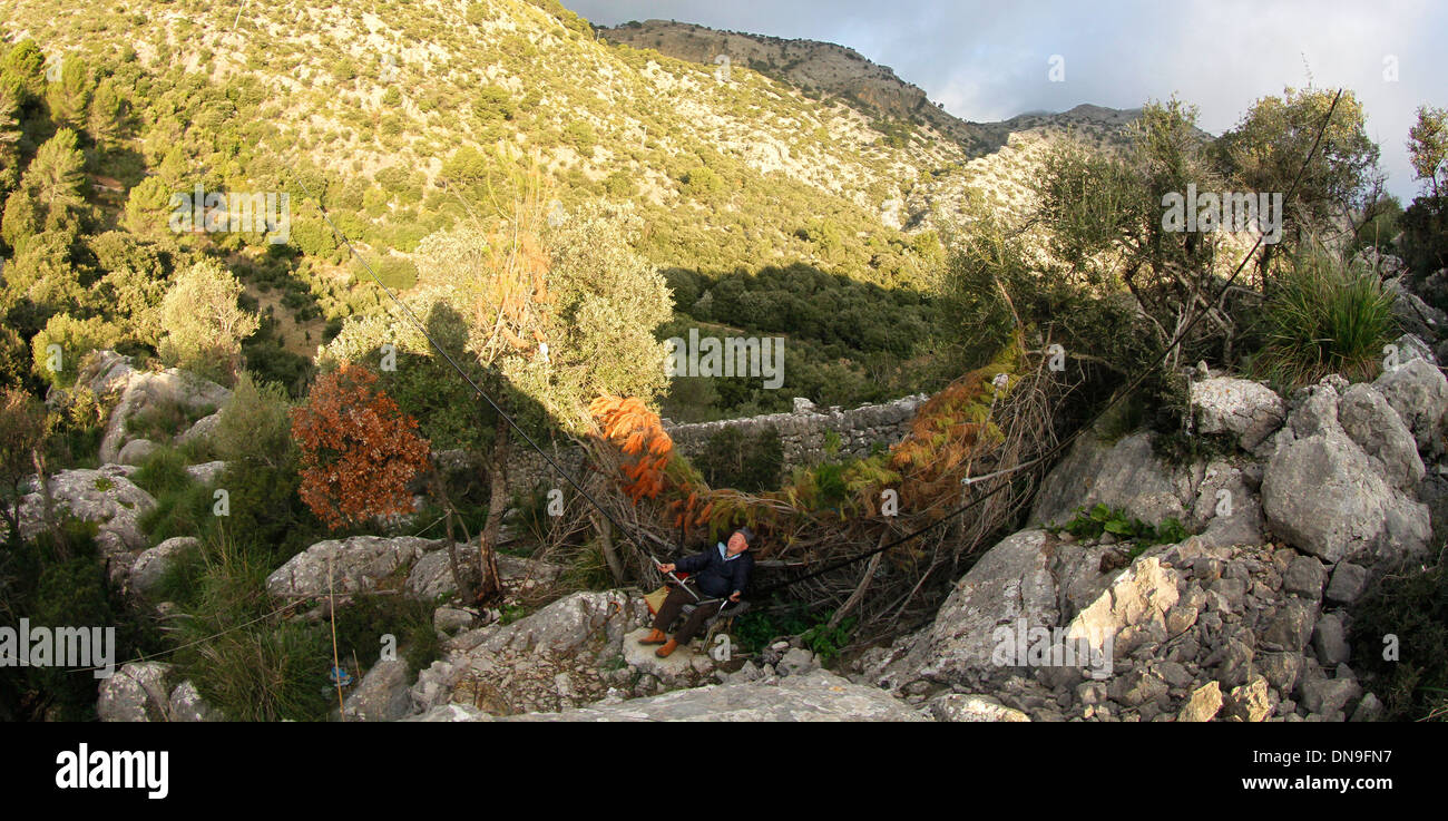 A hunter hunts traditional way using net near the village of Alaro on the Spanish island of Mallorca Stock Photo