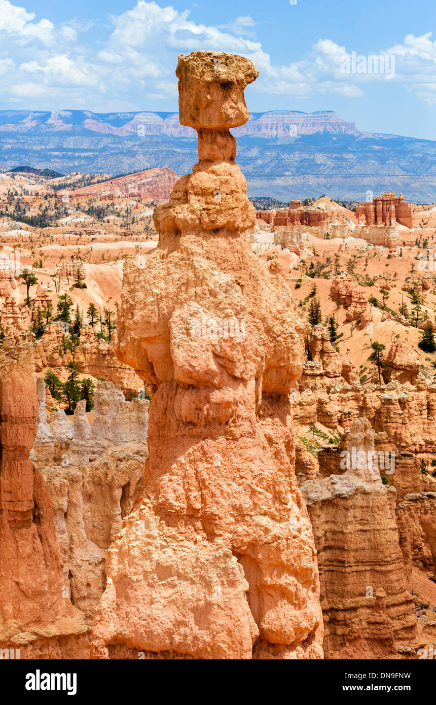 Thors Hammer monolith on the Navajo Loop Trail, Sunset Point, Bryce Amphitheater, Bryce Canyon National Park, Utah, USA Stock Photo