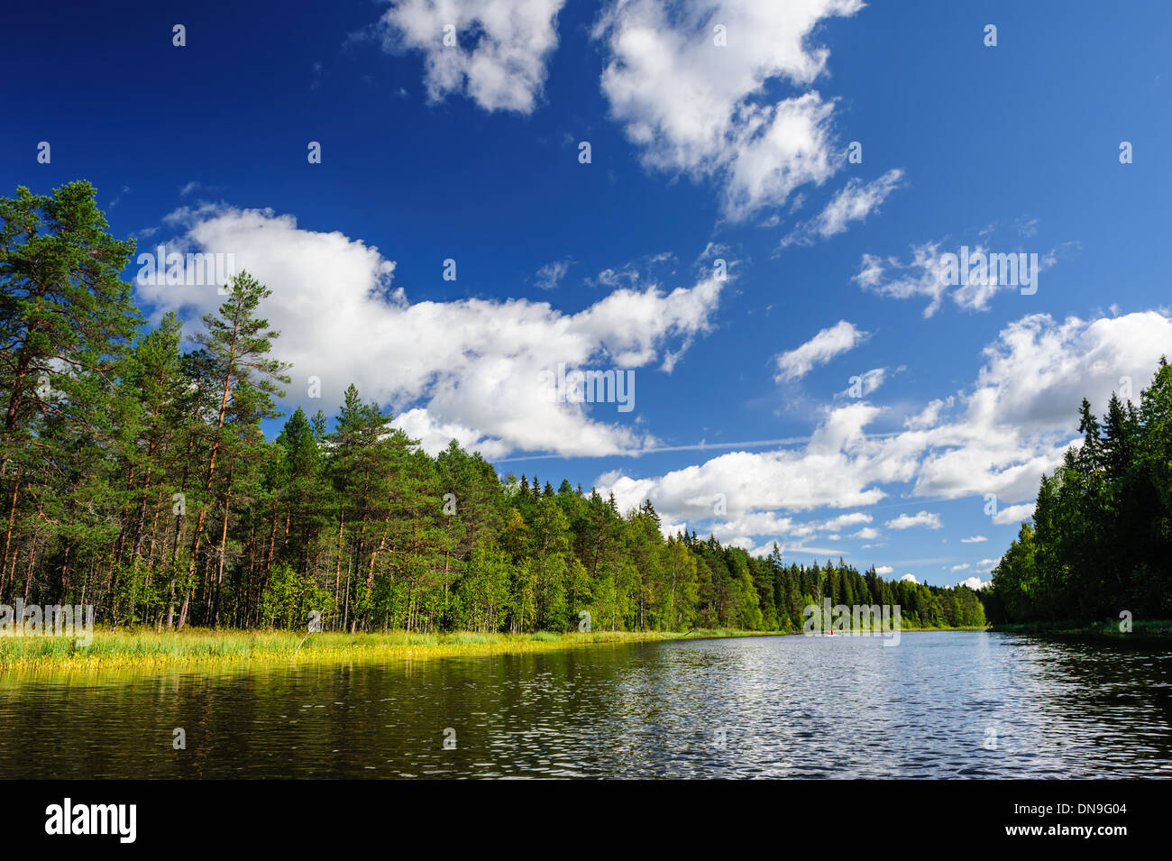 River in the Karelia, Northern Russia Stock Photo