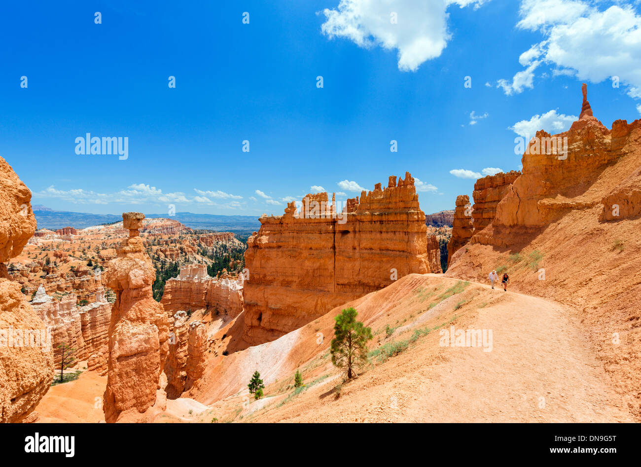 Walkers on the Navajo Loop Trail near Thors Hammer, Sunset Point, Bryce Amphitheater, Bryce Canyon National Park, Utah, USA Stock Photo