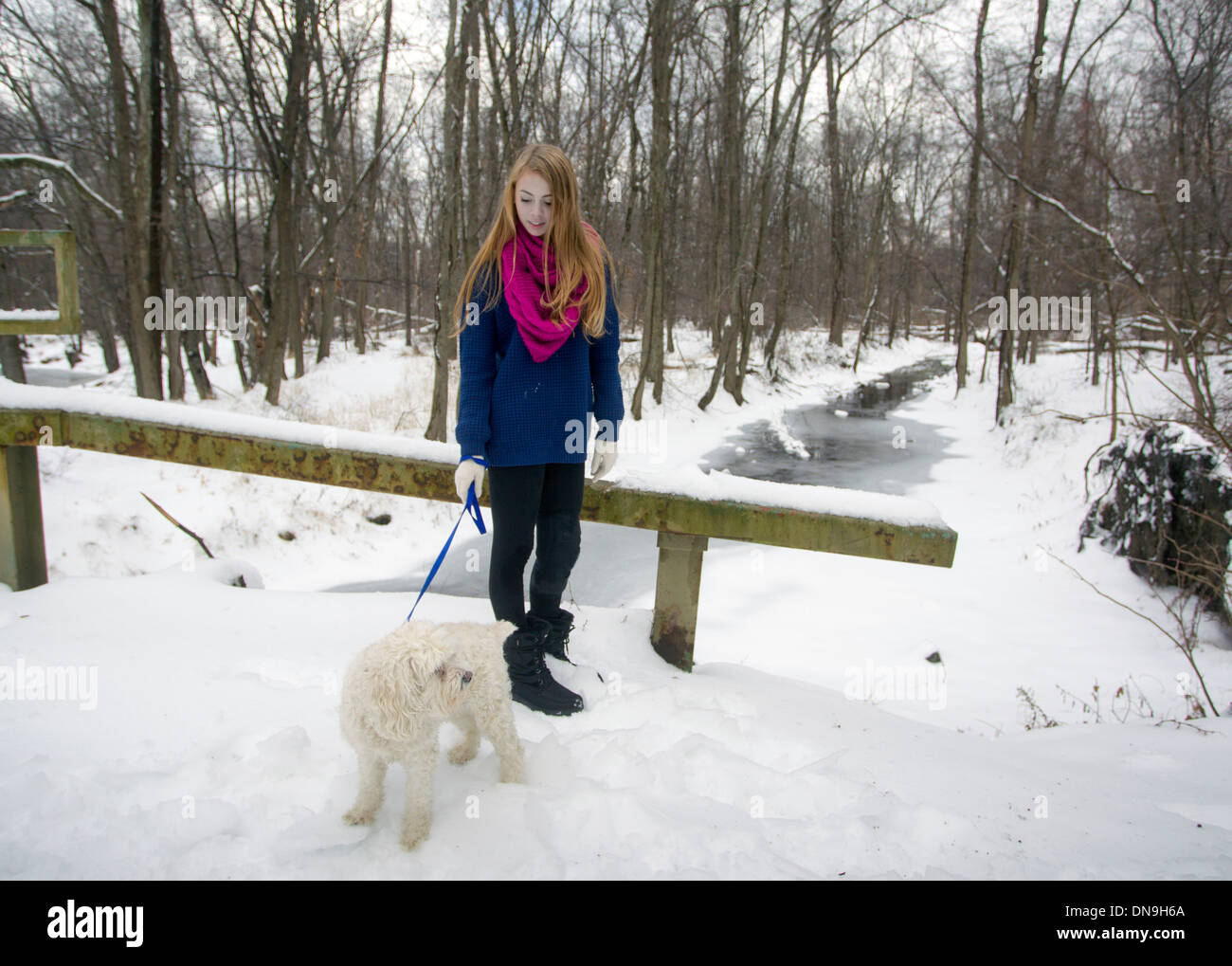 Teen girl walking dog hi-res stock photography and images - Alamy
