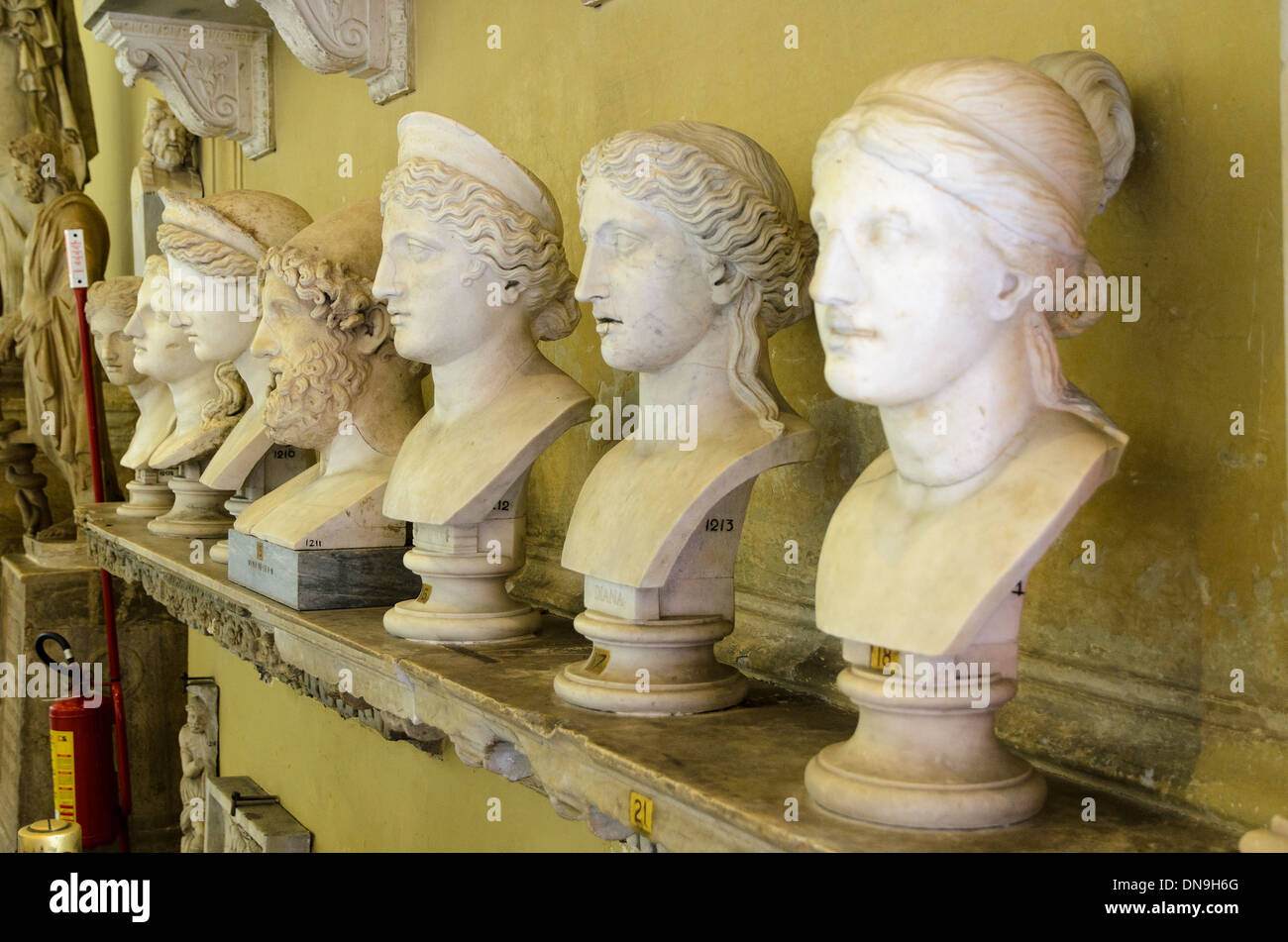 Ancient roman marble head sculptures in the Vatican Museums Rome