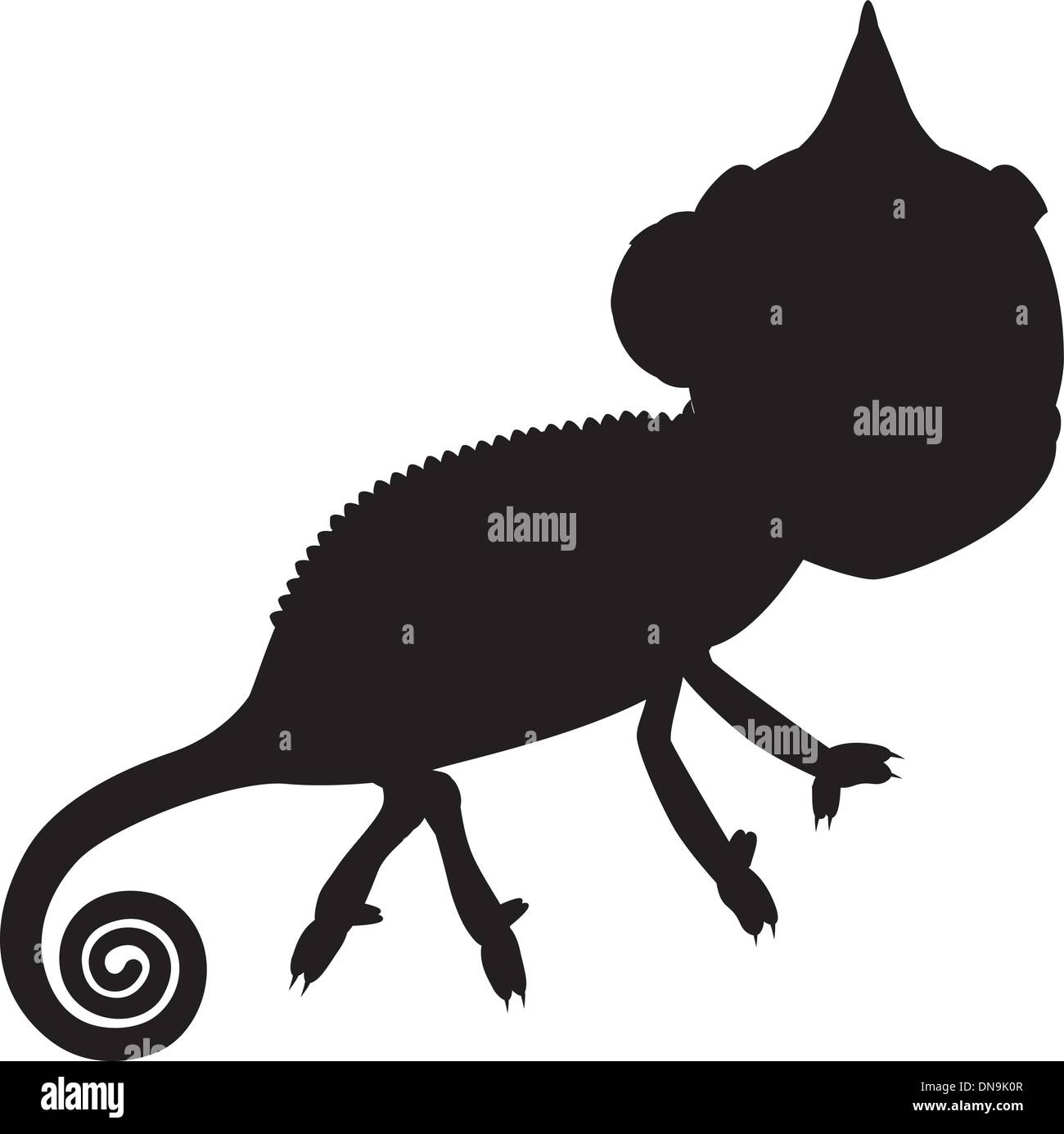 Chameleon silhouette hi-res stock photography and images - Alamy