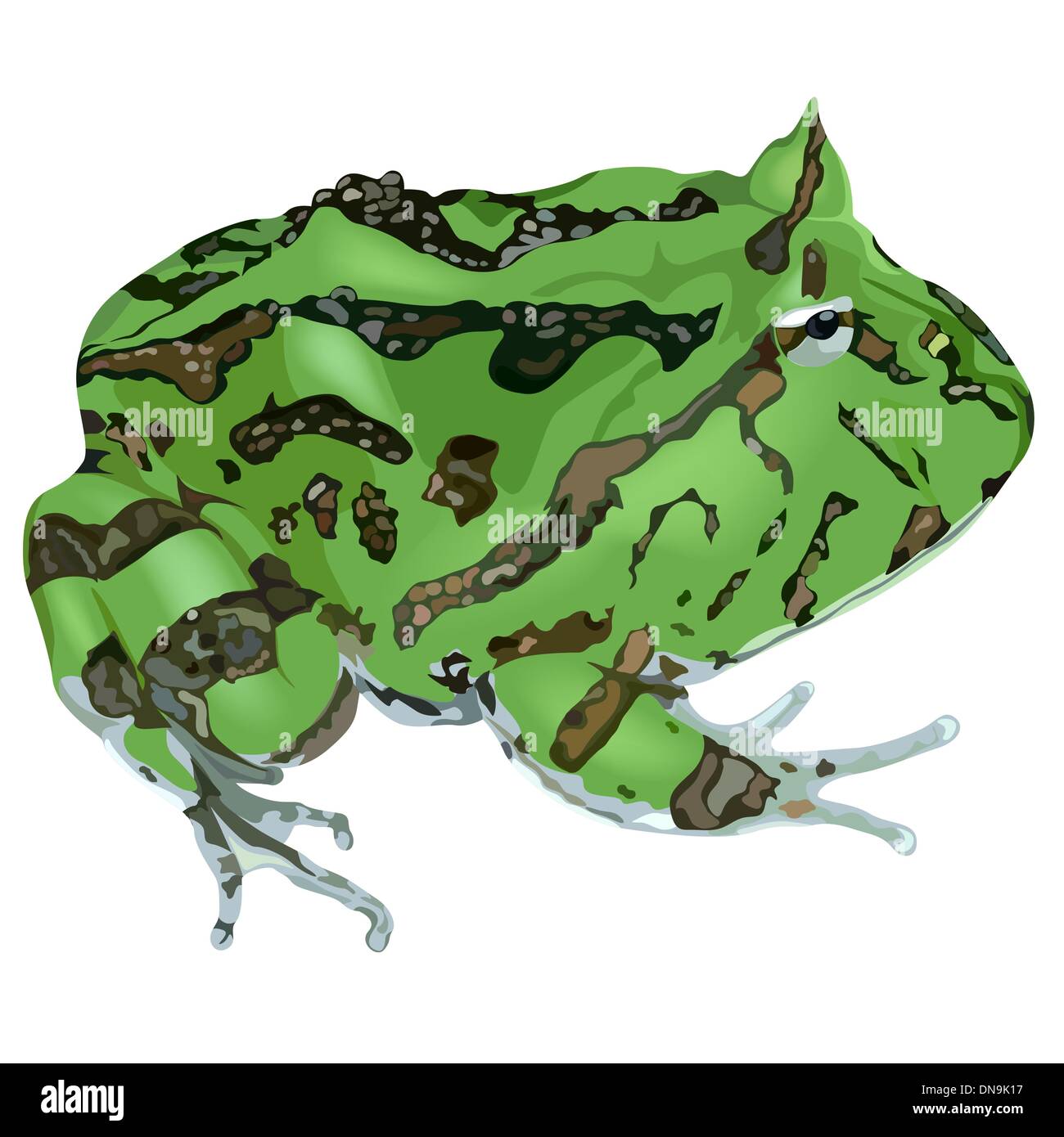 Frog horned frog Stock Vector Images - Alamy