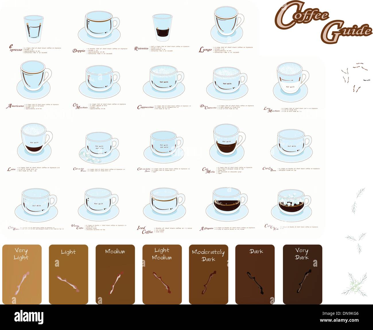 A Set of Coffee Type and Coffee Bean Stock Vector