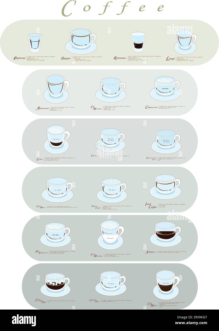 Different Type of Coffee Menu or Coffee Guide Stock Vector