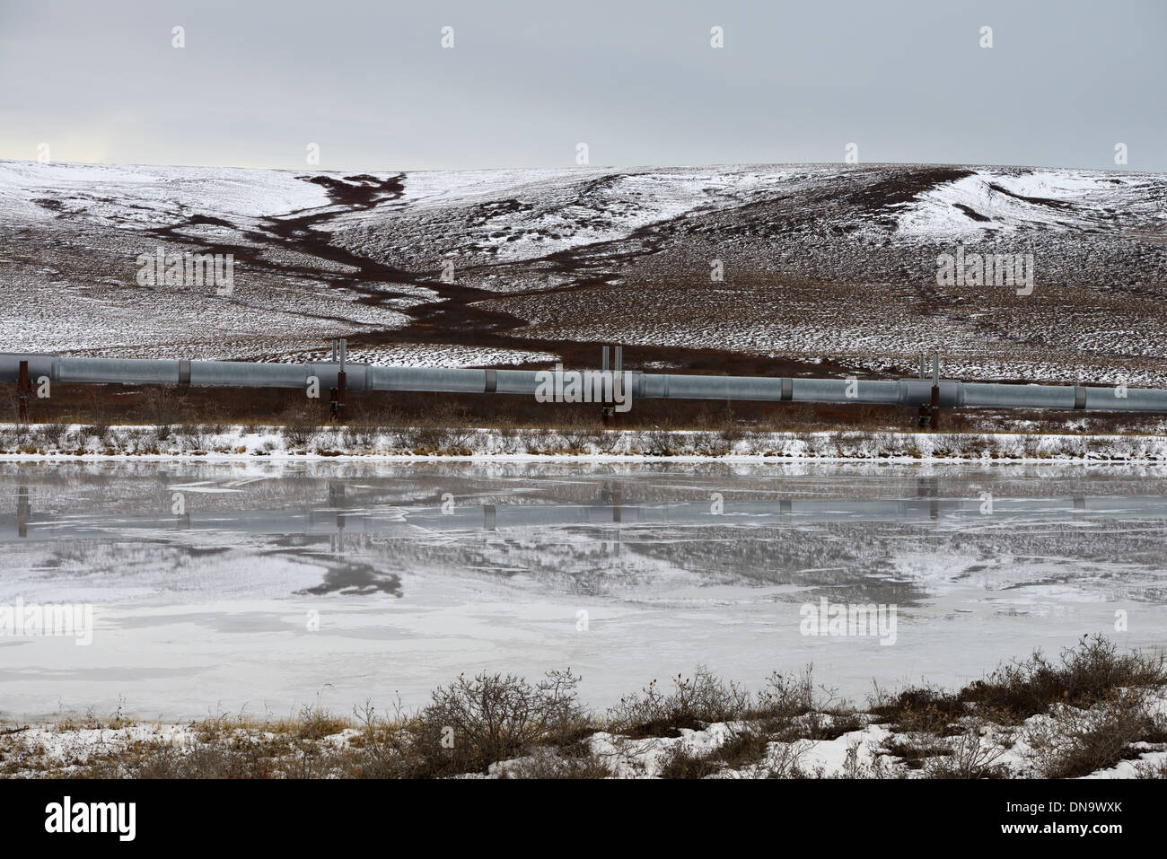 Alyeska elevated Trans Alaska crude oil pipeline passing hills and pond north of the Brooks Range mountains from the Dalton Highway Alaska USA Stock Photo