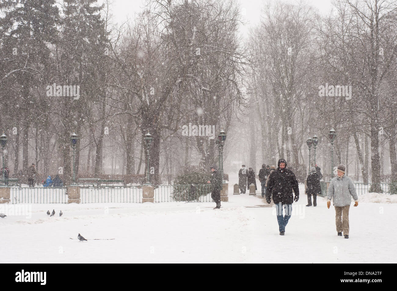 Tourists in whiteout in Warsaw Baths Royal Park Stock Photo