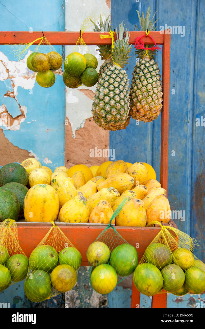 Brazilian farmers market featuring tropical fruits like pineapple