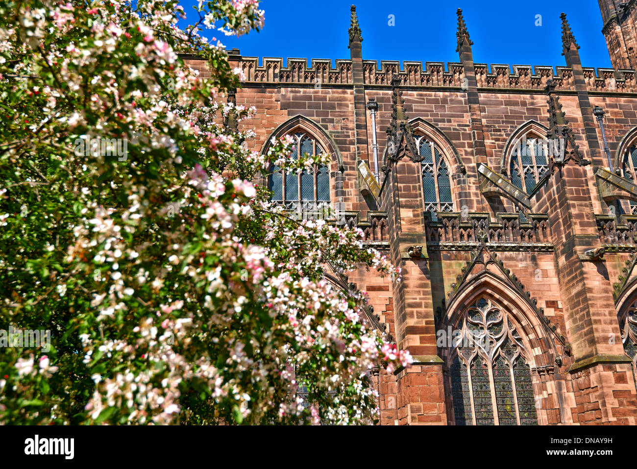 Chester Cathedral is the mother church of the Church of England Diocese of Chester, and is located in the city of Chester Stock Photo