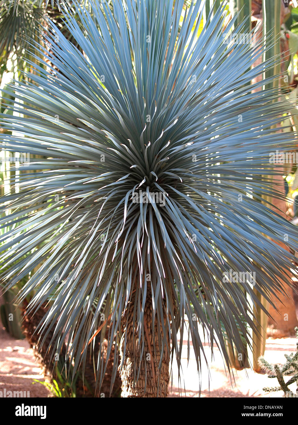 Spine heat hi-res stock photography and images - Alamy