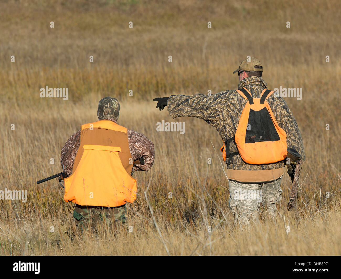 Father and Son hunting Stock Photo - Alamy