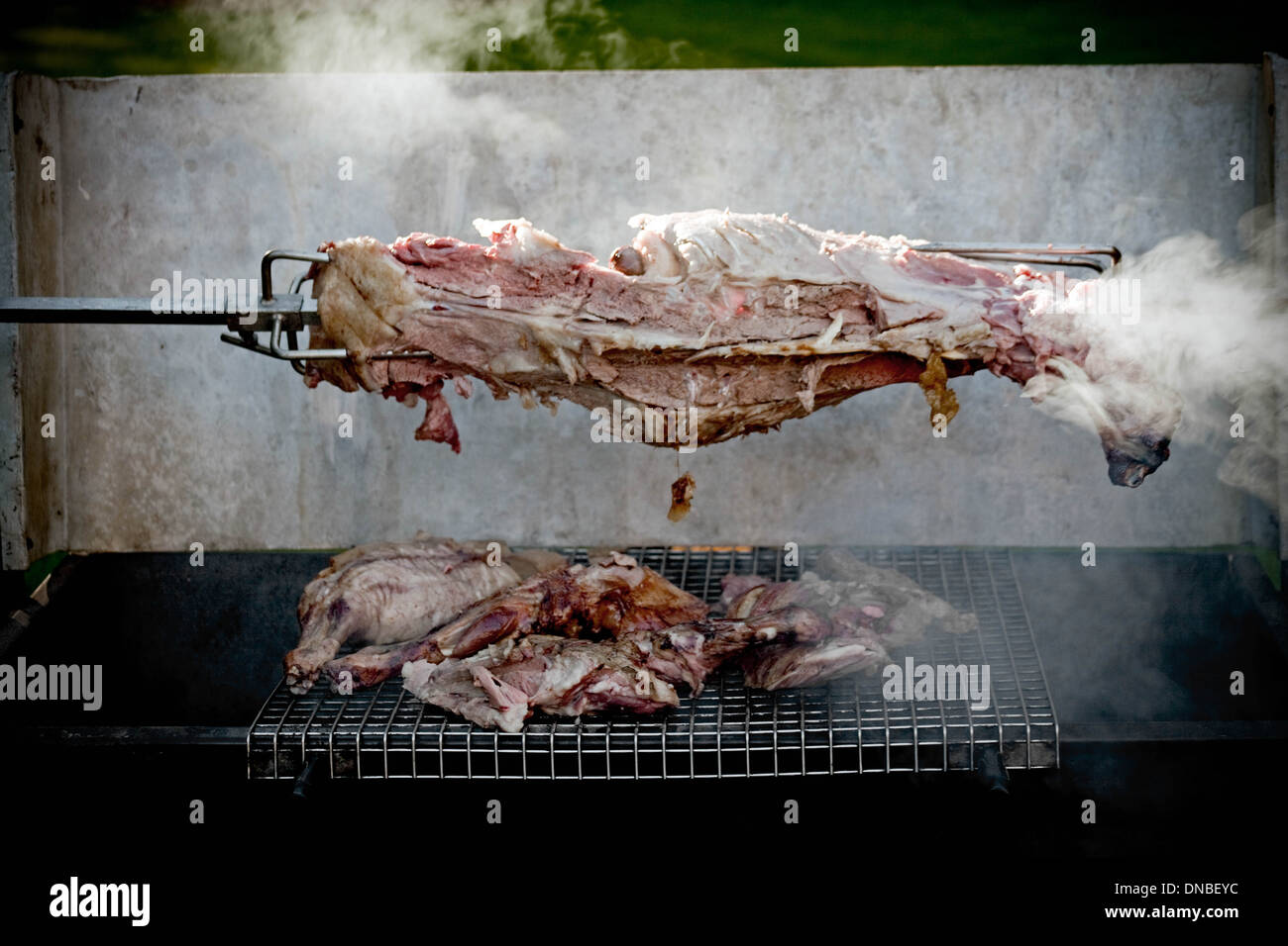 Roast hog on spit Stock Photo
