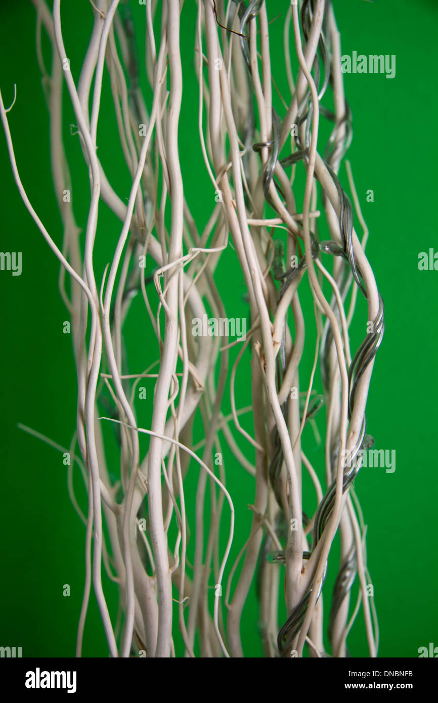 Decorative white twigs against a green wall Stock Photo