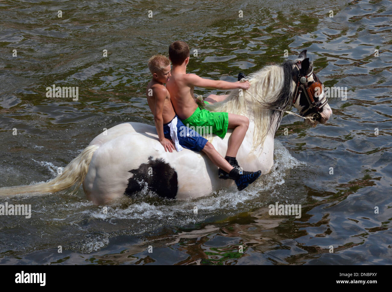 Gypsy traveller boys riding horse in River Eden. Appleby Horse Fair