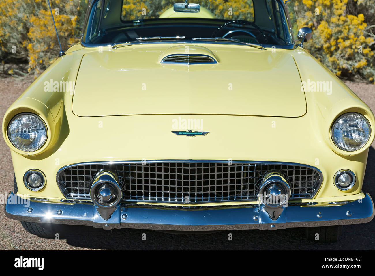 1956 Ford Thunderbird, Santa Fe, New Mexico USA Stock Photo