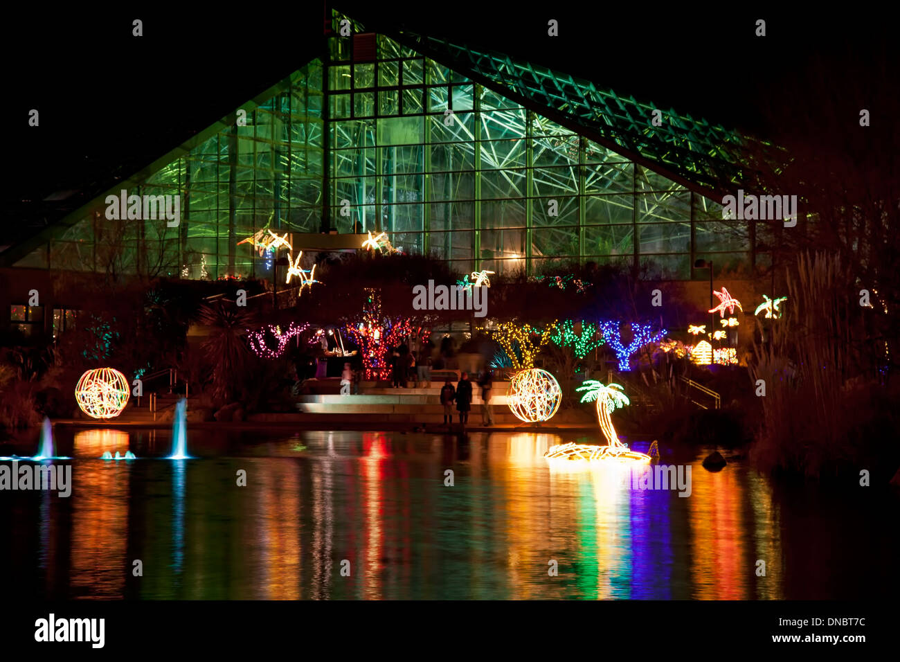 Christmas lights and pond reflections, River of Lights, Rio Grande
