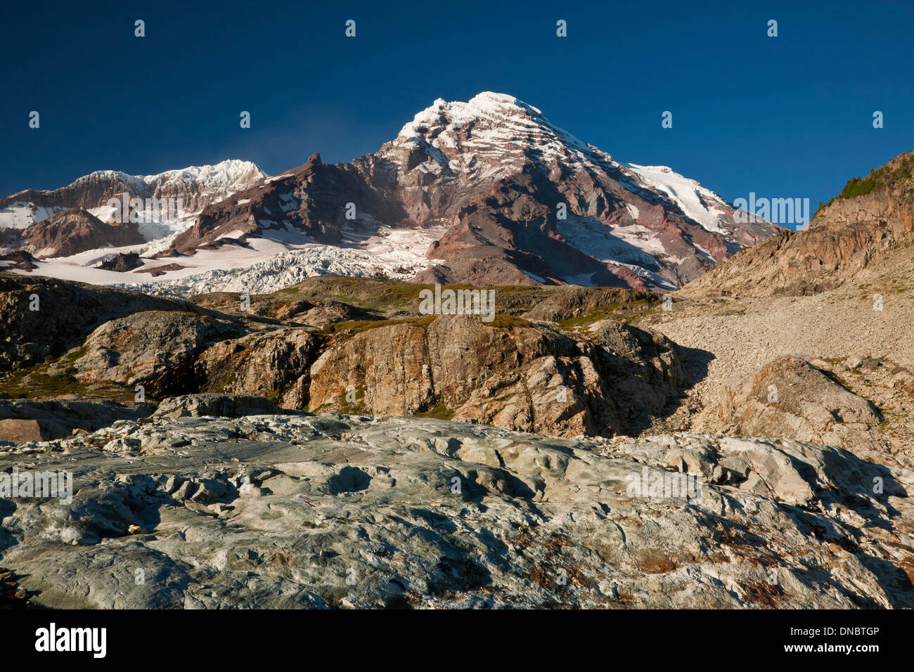 Mount Rainier and the Tahoma Glacier above glacier polished rocks on a ...