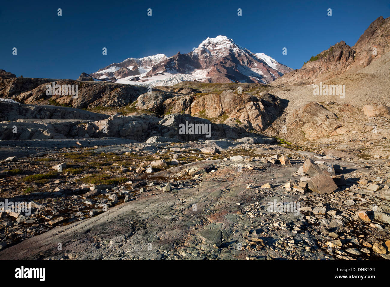 Mount Rainier and the Tahoma Glacier above glacier polished rocks on a ...