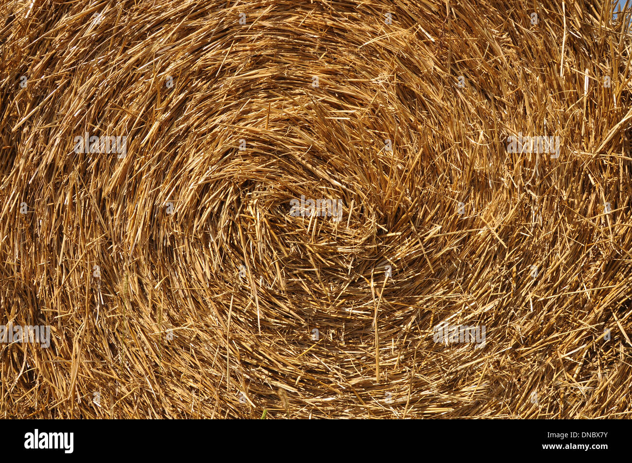 natural background created by straw on a rick Stock Photo