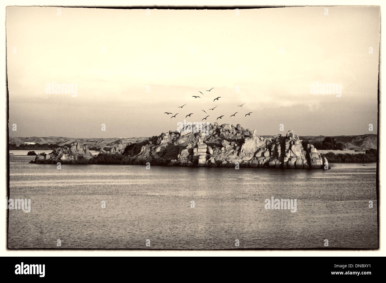 Egypt Aswan island birds rocks stones Nile water sky sepia clouds Stock Photo