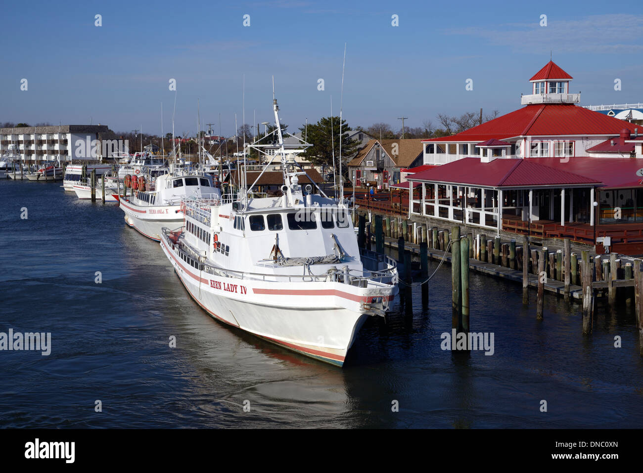 Marina view, Lewes, Delaware USA with white charter boats at the lined up along the dock near a red roofed restaurant. Stock Photo