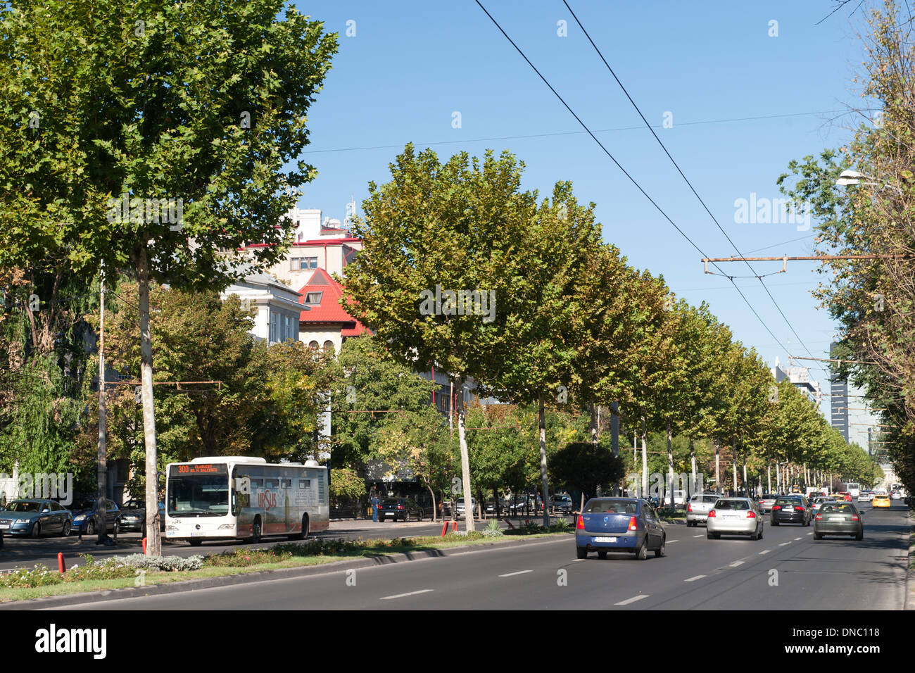 Lascar Catargiu Boulevard in Bucharest, the capital of Romania. Stock Photo
