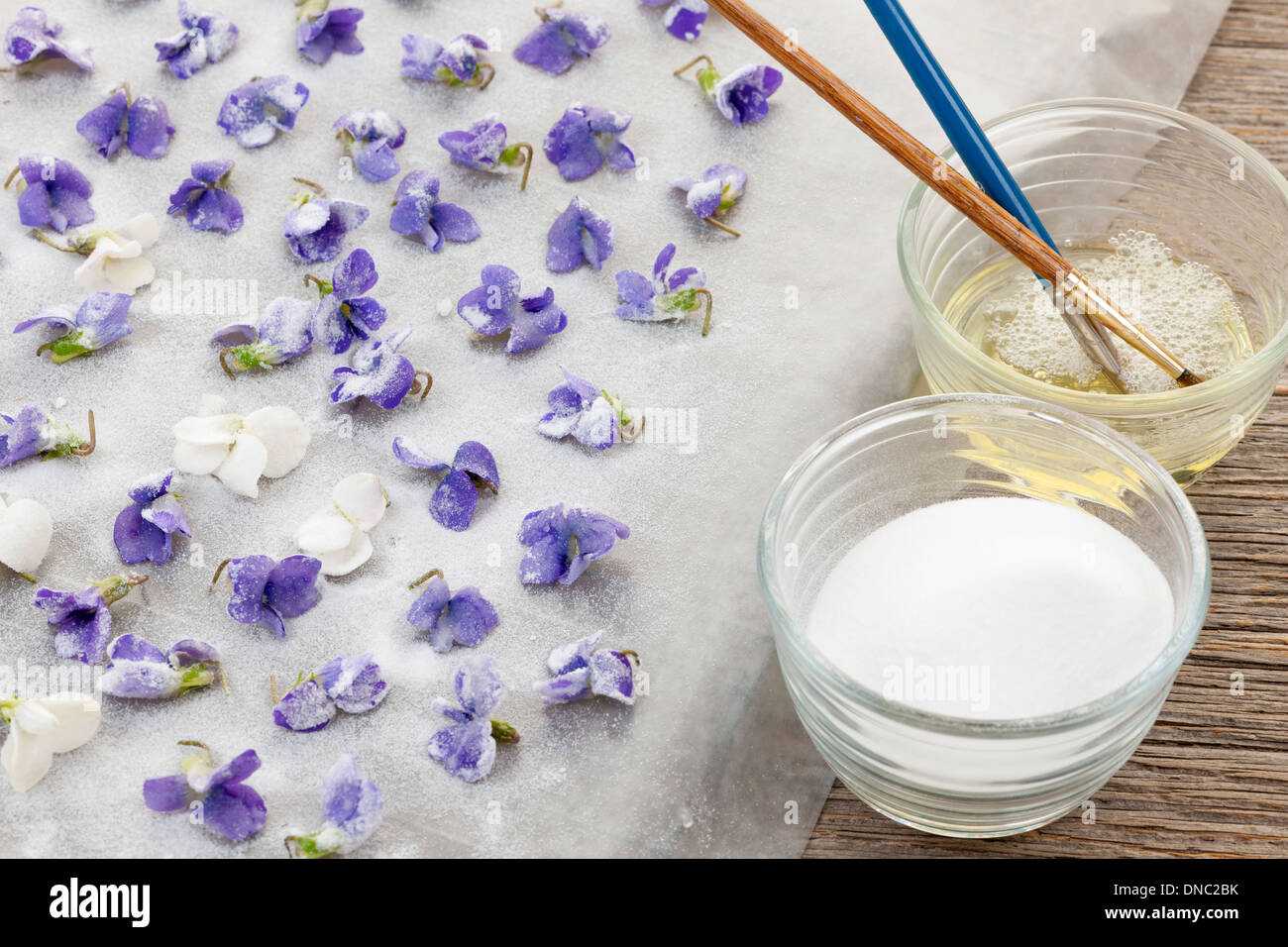 Making candied violet flowers with egg whites and sugar Stock Photo