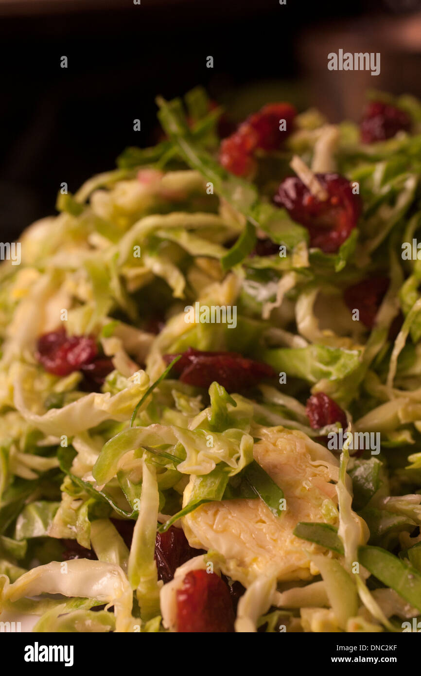 close up of raw brussels sprout salad with dried cranberries Stock Photo
