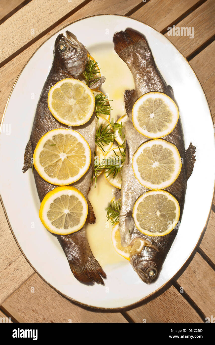 overhead grilled trout with lemon slices Stock Photo