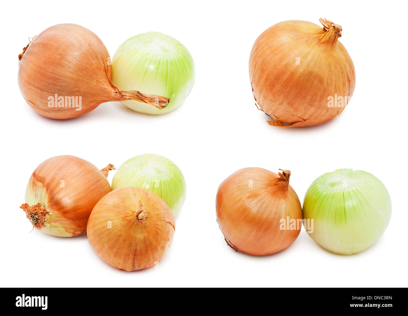 Set onion yellow onion hi-res stock photography and images - Alamy