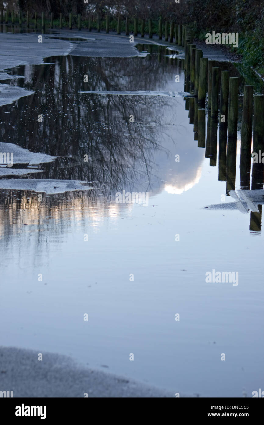 Reflections in rain water Stock Photo - Alamy