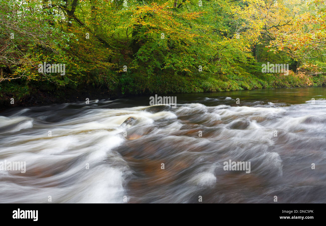 Autumnal River Dart Scene at Newbridge Dartmoor National Park Devon